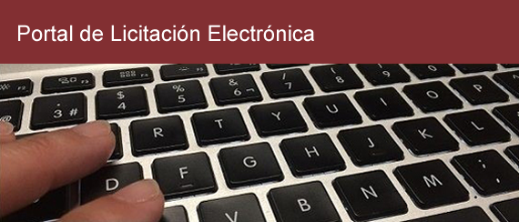 portal licitacion electronica