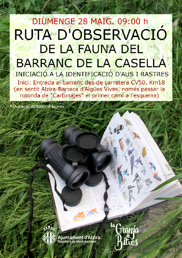 CARTEL OBSERV FAUNA mayo2017