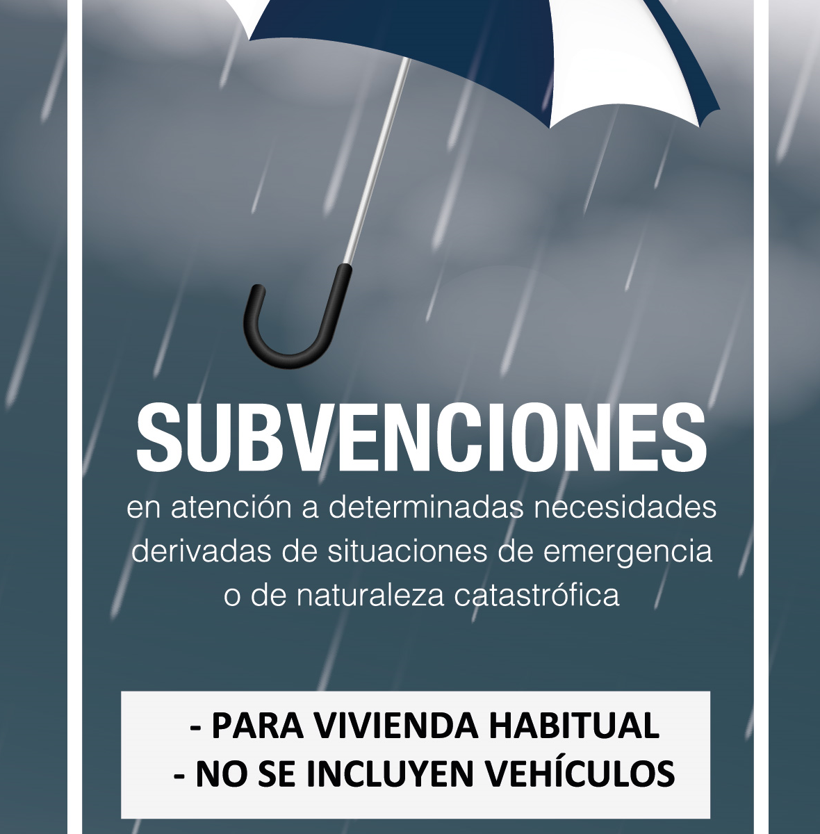 folleto subvenciones tz ok-01