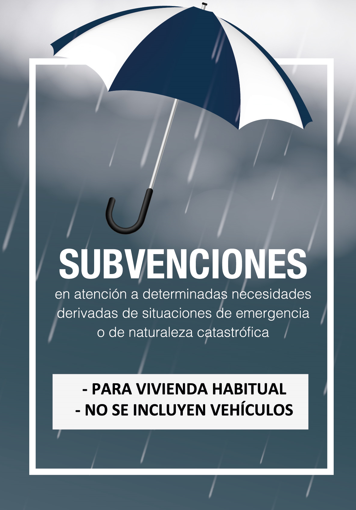 folleto subvenciones tz ok-01