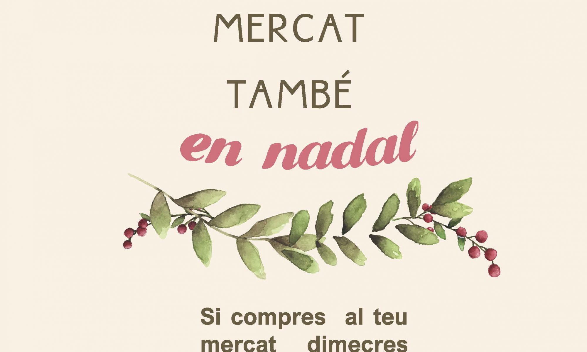 planta de nadal