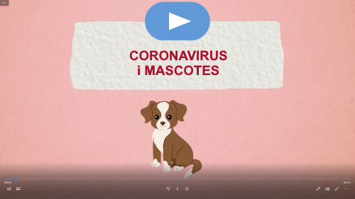 Coronavirus i mascotes