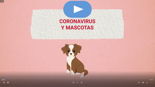 Coronavirus y mascotas