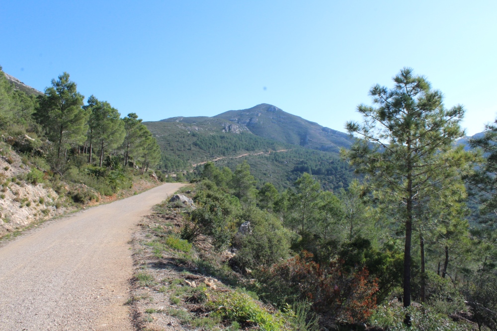 20112019 Pista forestal La Casella