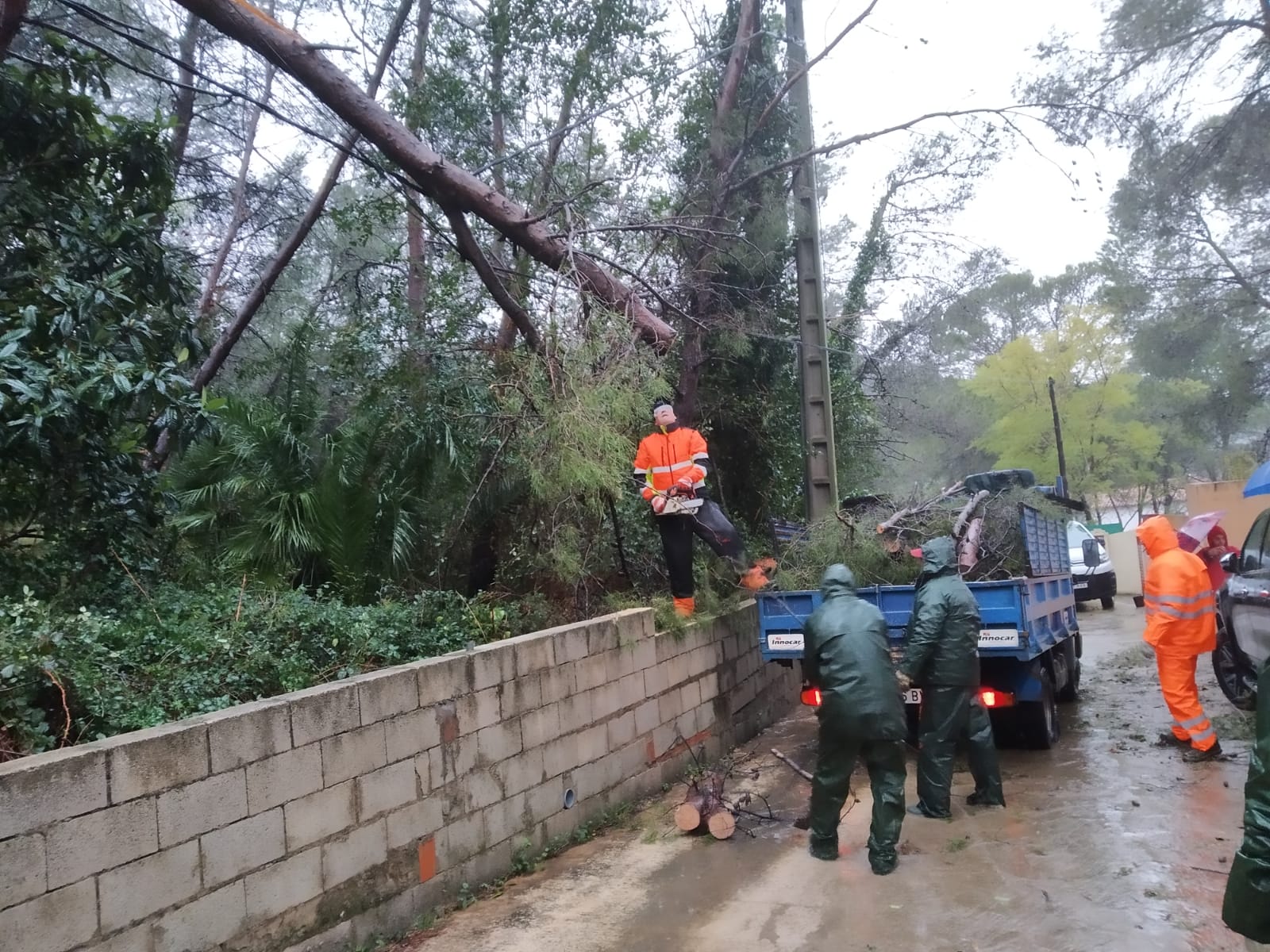 efectes del temporal