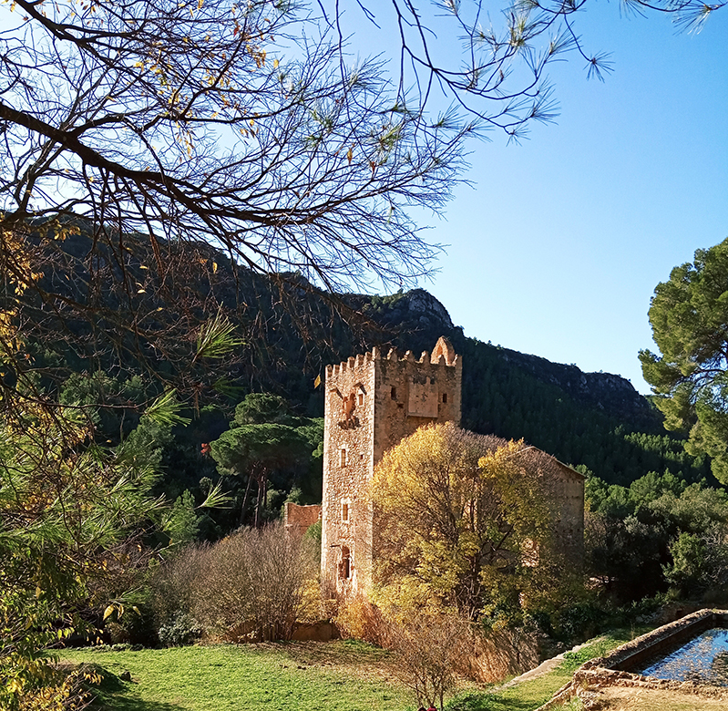 La Murta Alzira