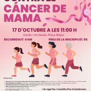 XIII Carrera Popular contra el Càncer d'Alzira