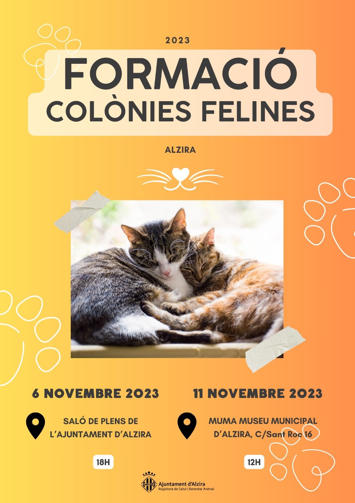 Formació Colònies felines