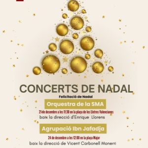 CONCERTS DE NADAL