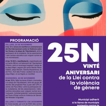 25N vinté aniversari de la Llei contra la violència de gènere