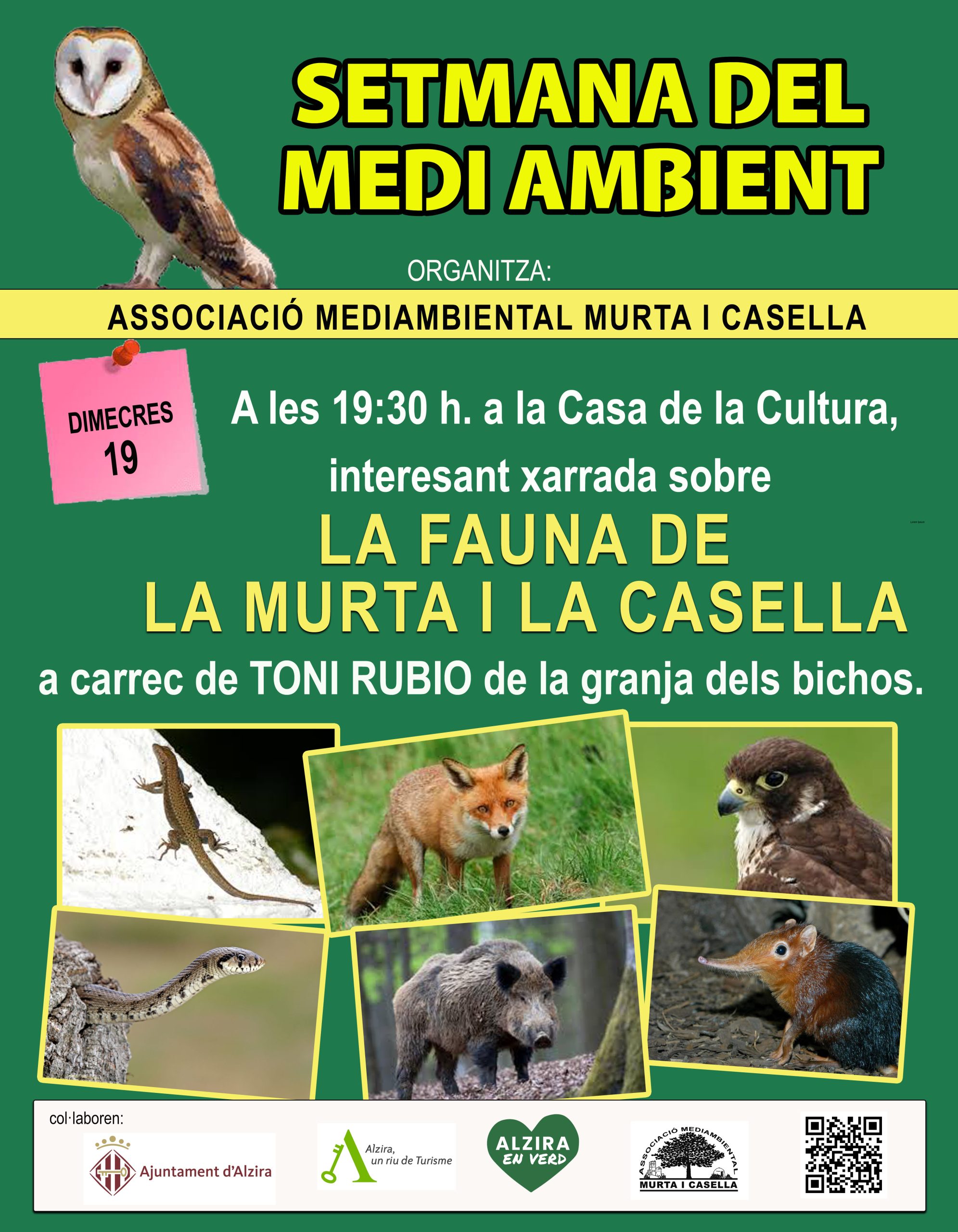 SETMANA DEL MEDI AMBIENT - xarrada sobre LA FAUNA DE LA MURTA I LA CASELLA