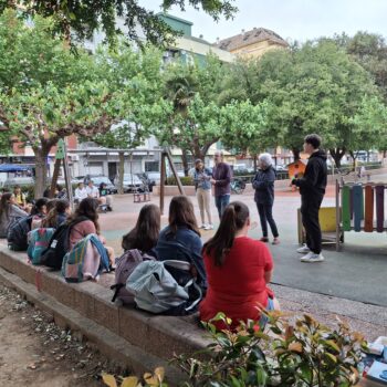 CMXX primària 24 d'abril de 2026