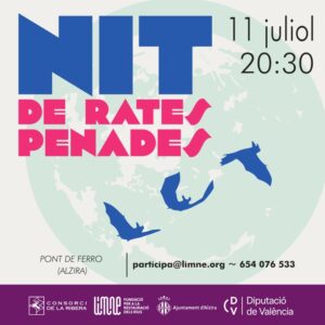 NIT DE RATES PENADES – ALZIRA